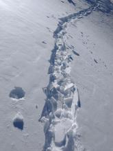 I found this NW aspect spot at treeline where a wind slab  was on top of faceted snow. The slab was only 1 to 3 inches think. No shooting cracks, just the slab breaking up underfoot.