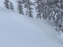 D1 natural wind slab avalanche, near treeline, NE aspect terrain at about 7,500'.