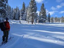 When one of us jumped on the snow in this meadow, we triggered a whumpf. We triggered 2 more whumpfs during our tour.