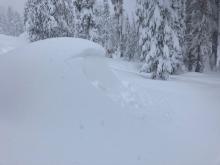 Natural storm slab avalanche on small test slope.