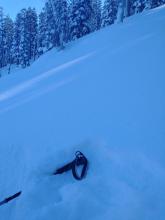 SH and near surface facets in the top few cm of the snowpack on a heavily shaded NE aspect around 7,000'. The top 2 cm of the snowpack were dry and did not clump in the hand.