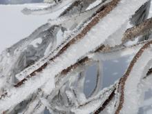 Heavy ice and riming on branches at 8,200'