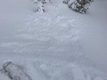 Minor cracking in wind loaded terrain with little to no propagation.