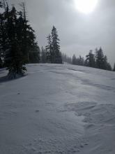 Rain crust exposed by wind scouring on the ridgetop.