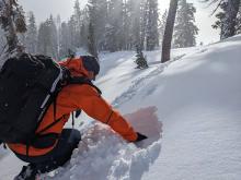 Today's wind slab density change (harder over softer) was easy to find in hand pits.