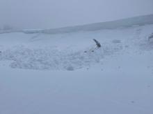 Natural avalanche, cornice fall triggered, Wildflower Ridge, NE aspect at 7,800'.