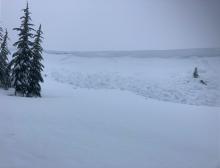 Natural avalanche, cornice fall triggered, Wildflower Ridge, NE aspect at 7,800'.