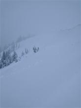 Older wind slab avalanche on the E face of Mt. Judah, likely from 12/29.