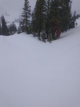 Rain runnels starting to show on the snow surface. N aspect terrain at about 7,300'.