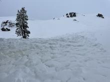 Wet loose debris pile from last couple of days. 