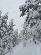 New snow depths increased dramatically as elevation was gained.