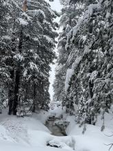 Water was visible at the outlet to Grass Lake