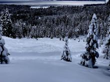 Looking at avalanche debris. Easily 10-15' deep in spots