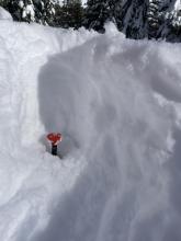 Fully buried 330cm probe with 30cm above it @ 8400' on NE aspect.