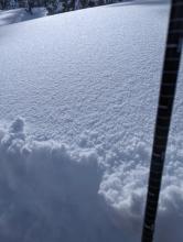 Surface hoar from valley floors to at least 8700ft, decomposing on sunnier slopes