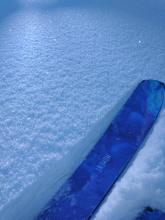 Large new surface hoar that formed last night. Only notable in that last night was very windy on the ridgetops, not typical formation conditions for SH.