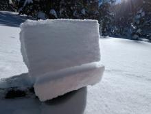 A shovel tilt showing intact surface hoar. No slab above it at this location