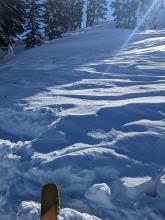 Wind hammered surfaces in near treeline terrain on a N aspect on Mt. Judah