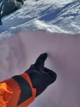 8mm surface hoar in the pit wall, N aspect at 7,400', near treeline terrain.