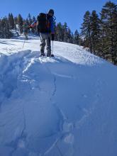 Small wind slab failure on a NW facing aspect near treeline on Silver Peak.