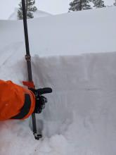 Buried surface hoar on a NE facing slope in below treeline terrain on Andesite Peak.