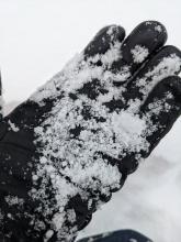 Graupel at the base of the storm snow. 