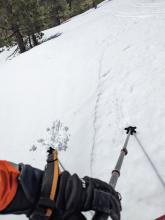 Less melt-freeze established in areas of recently wind drifted snow.