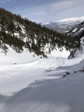 Old large avalanche debris in main path 