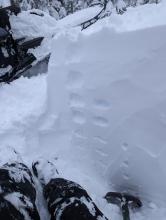 110cm of snow since Tuesday, with a "right side up" hand hardness profile and no instabilities observed