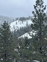 Avalanche crown we suspected was triggered during the day today