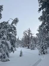 Around 9000' the snow became noticeably shabbier due to increased wind effect.