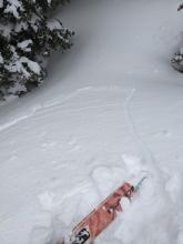 Small wind slab crack.