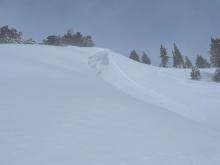 Natural activity on E aspect