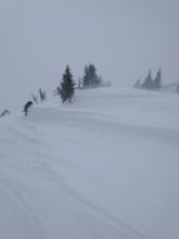 Impressive wind features sculpted by SW at treeline with hard slabs nearby.