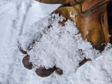An inch of graupel above the firm snow