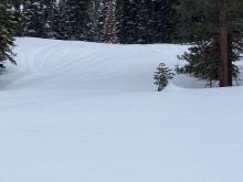 Rain runnels still exposed with firm snow surfaces below 7000', this morning pre storm.