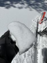 North facing surface hoar, 8300 feet