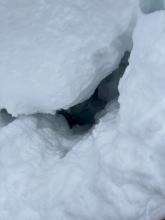 There were a couple incredibly deep tree wells next to the skin track. 