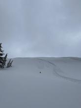 Multiple tracks along the corniced summit ridge but I didn't observe any cracks or slabs triggered