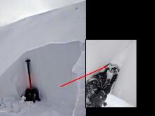 Graupel on a thin crust at the base of the wind slabs.