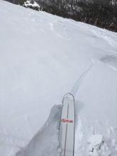 Ski kicks triggered shooting cracks on wind-loaded slopes in near treeline terrain.