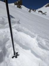 The upper snowpack was a mix of wet snow, melt-freeze crusts, and still cold dry snow. 