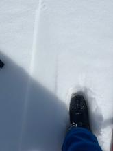 Checking ski penetration vs boot penetration on an open south east aspect at about 6600 feet at 9:30AM. ~ 1 cm ski pen and 10 cms boot pen