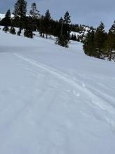 The rarely seen melt freeze reverse skin track. 