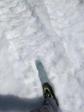 Sinking into shin deep wet snow this morning while standing in a snowmobile track from yesterday. 