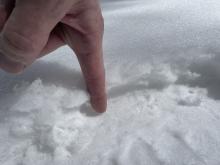 1-2" of new snow from Tuesday found in this area in very isolated shaded locations.