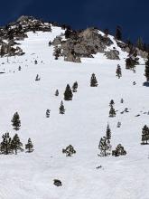 The bottom part of a SE aspect on Jakes Peak.  Not very smooth with a marginal refreeze at lower elevations.