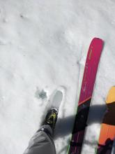 Ankle-deep wet snow on an E aspect at 10:15 am.